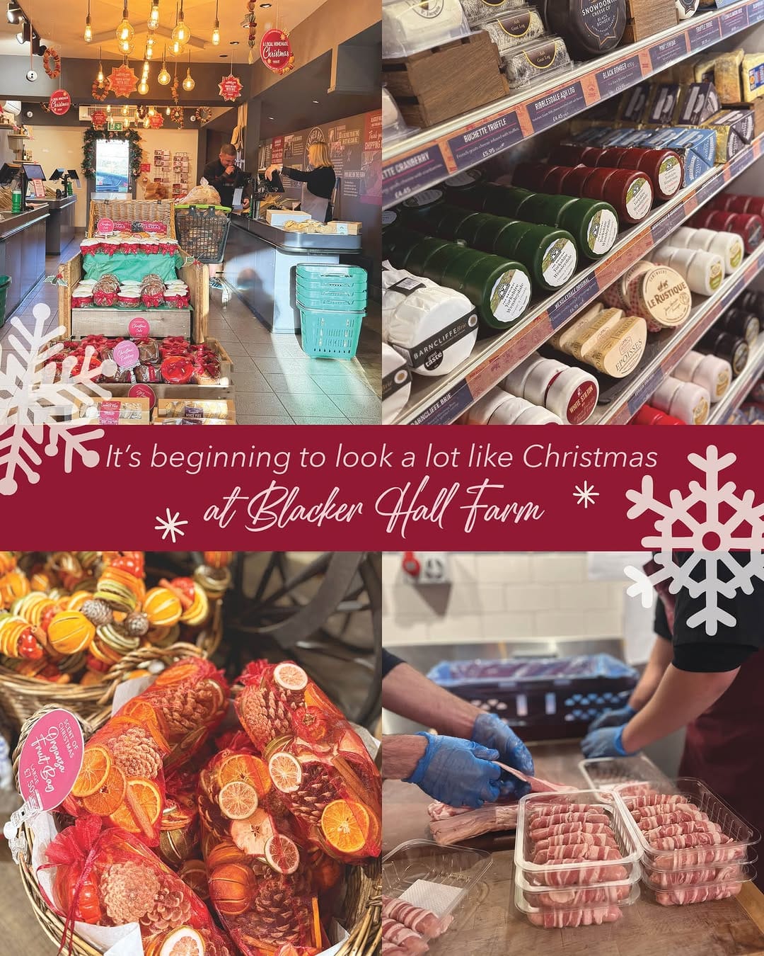 Post 1 by Blacker Hall Farm on Instagram (image)