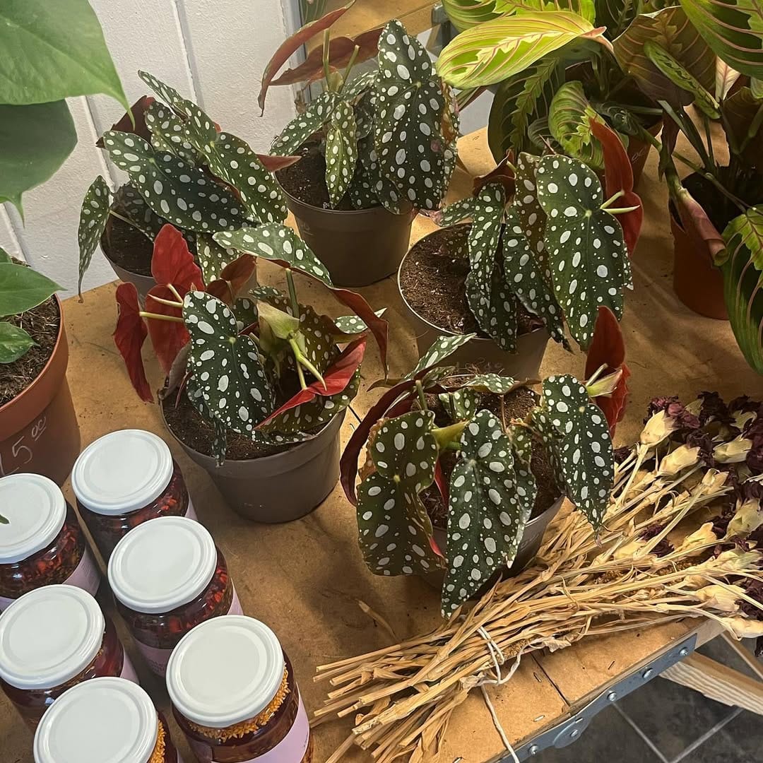Post 6 by Coffee And Cactus on Instagram (carousel)