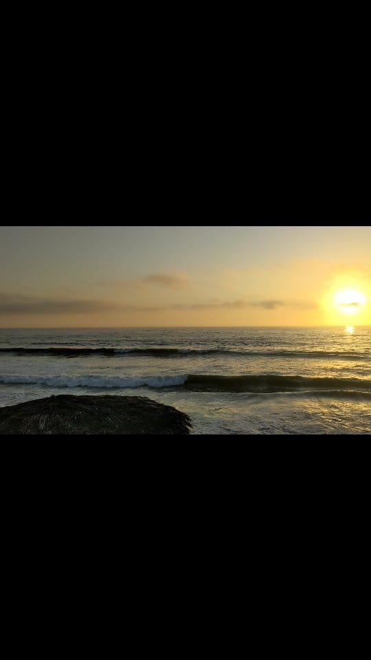 Post 5 by 🤙 on Instagram (video)