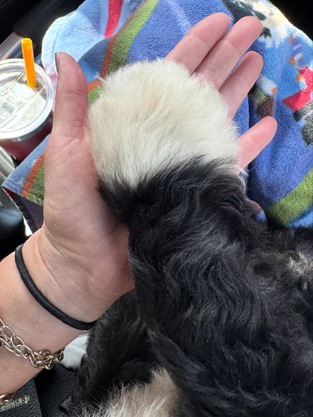 Post 9 by Laura Greene Silsbee on Instagram (image)