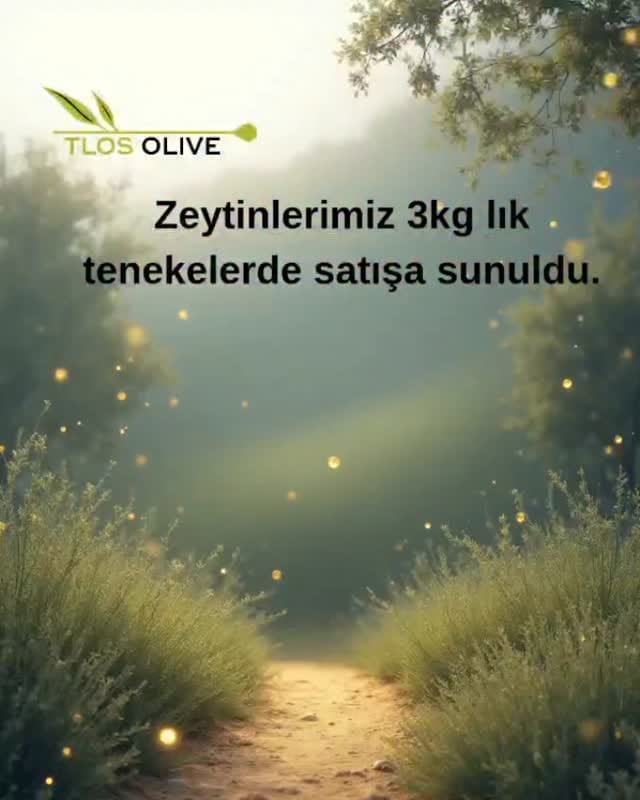 Post 8 by Tlos Olive 🧿 on Instagram (video)