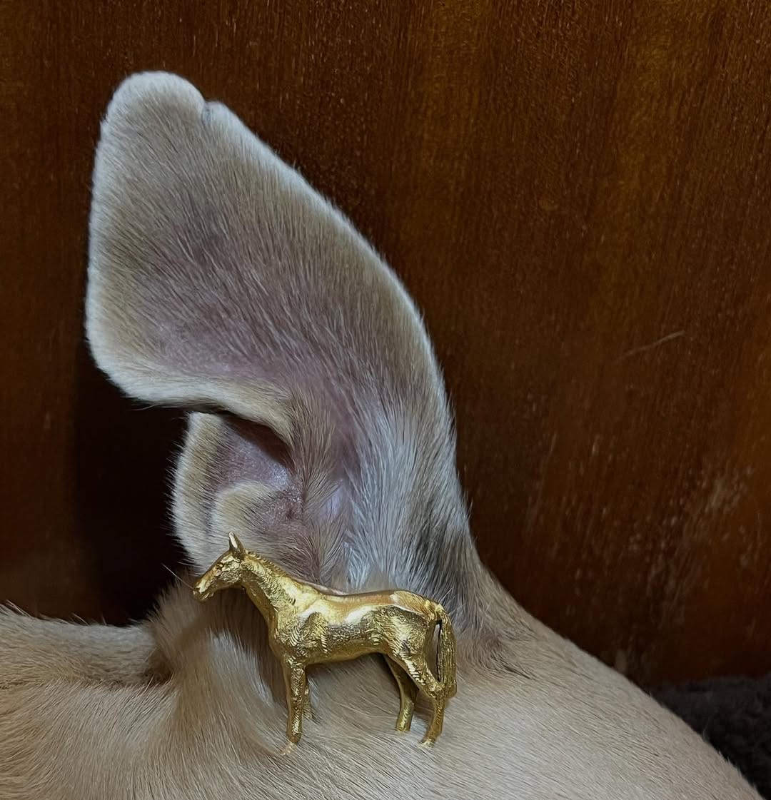 Post 5 by A R Ullmann Antique Jewellery on Instagram (image)