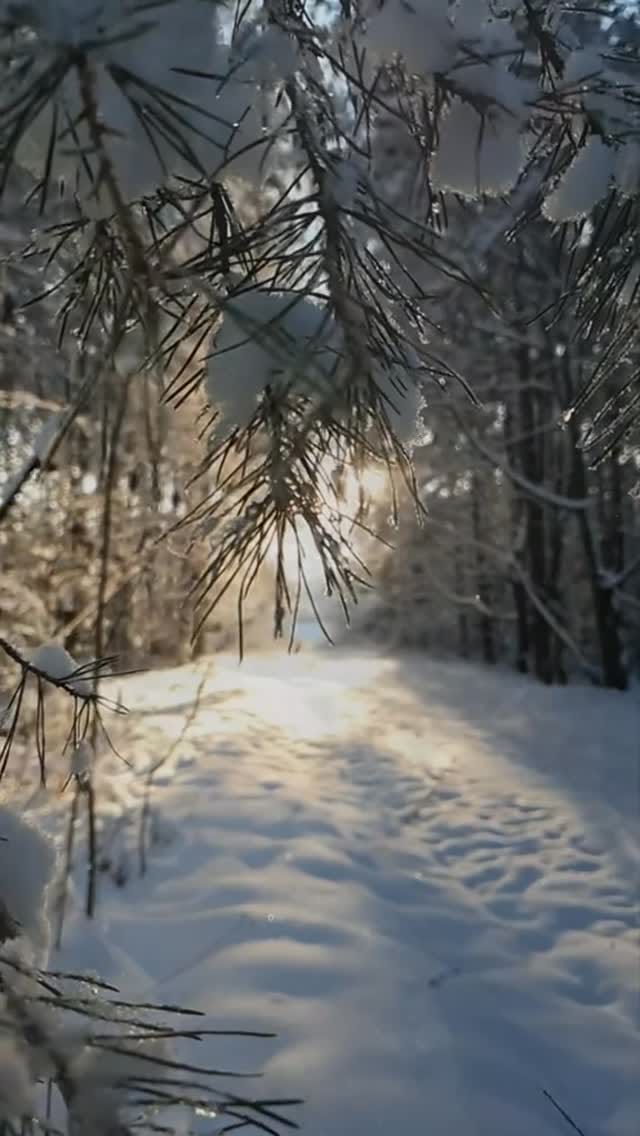 Post 1 by ▫️Yvonne▫️ on Instagram (video)