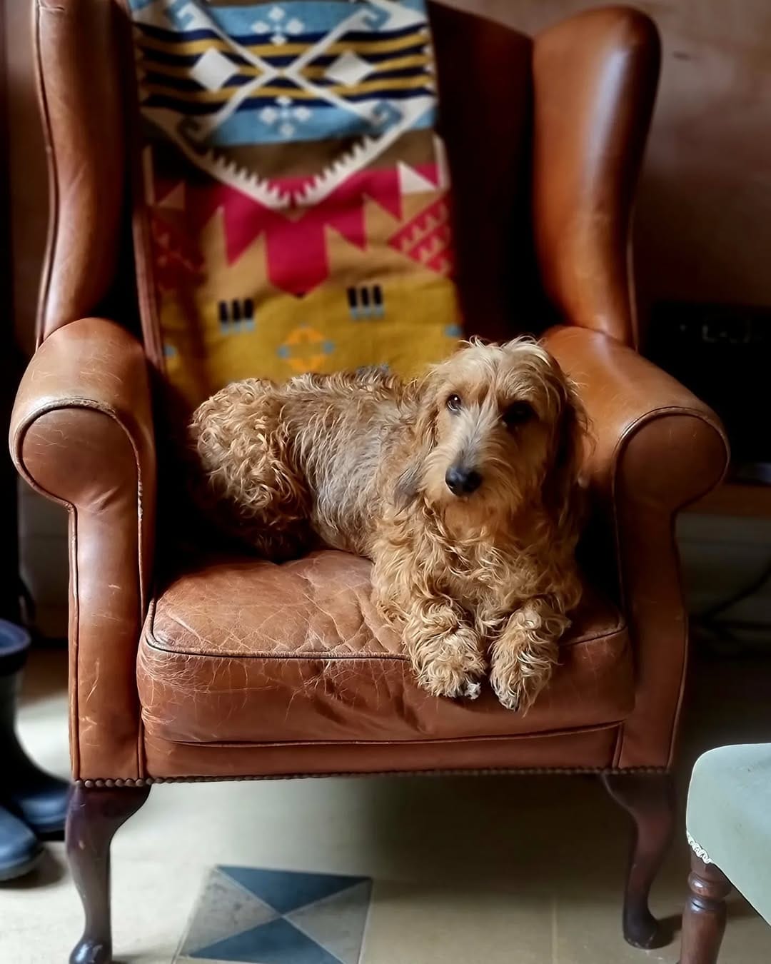 Post 10 by Sir Bruce Wayne and Merlin on Instagram (carousel)