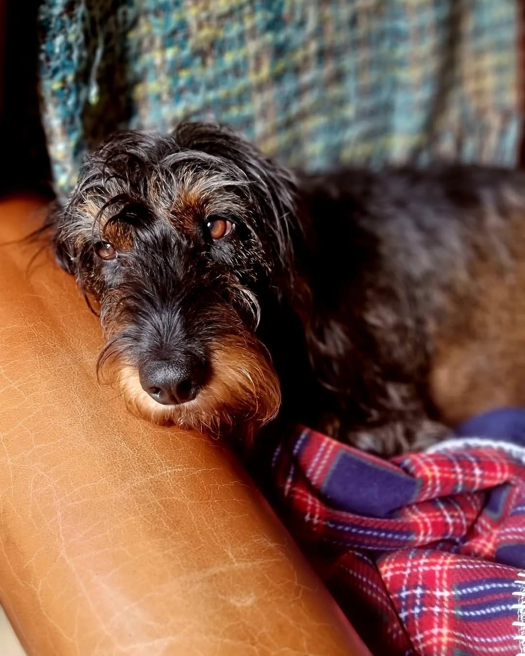 Post 9 by Sir Bruce Wayne and Merlin on Instagram (image)