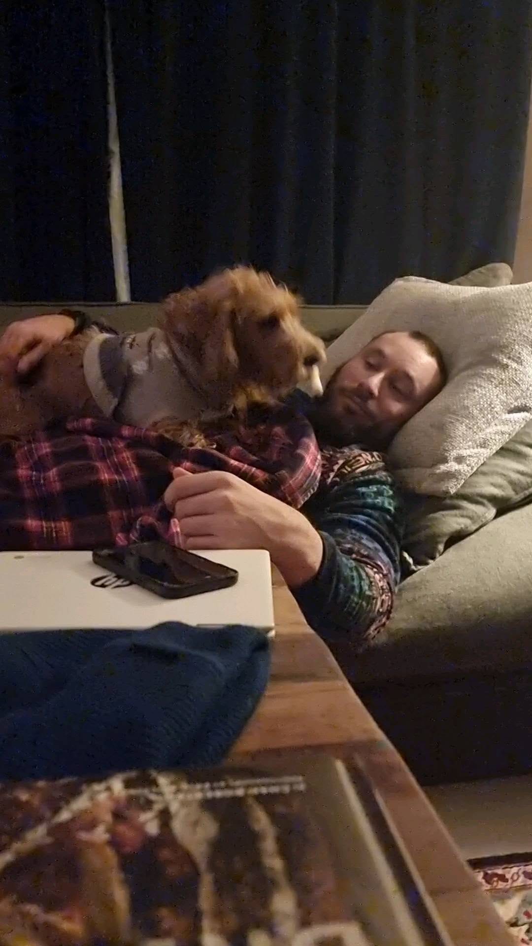 Post 6 by Sir Bruce Wayne and Merlin on Instagram (video)