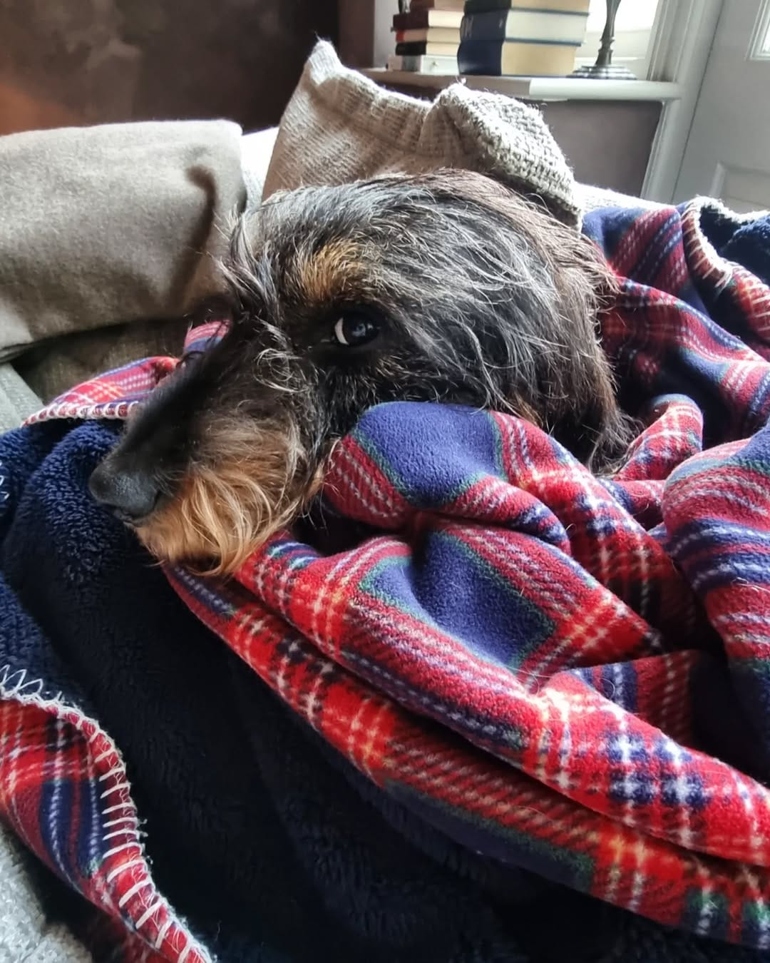 Post 3 by Sir Bruce Wayne and Merlin on Instagram (image)