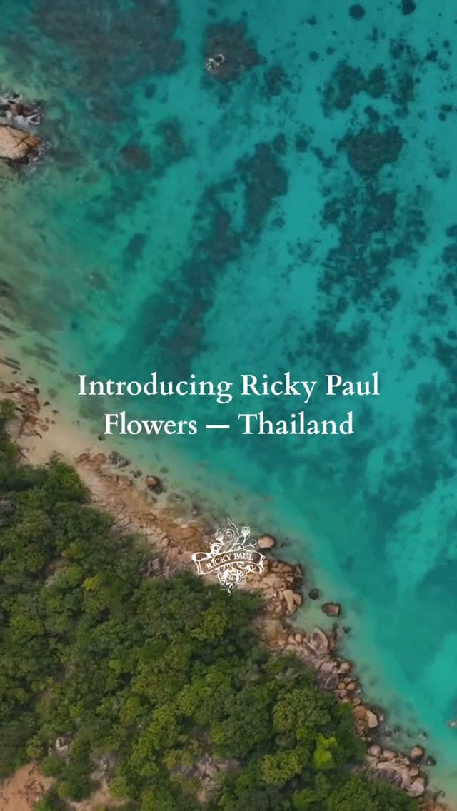 Post 9 by Ricky Paul Flowers ltd on Instagram (video)