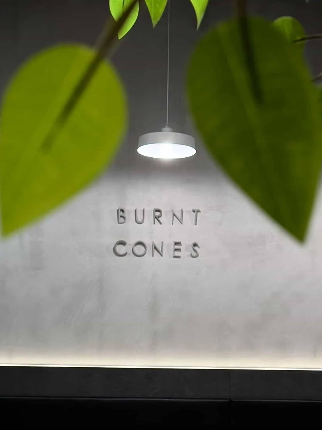 Post 1 by BURNT CONES on Instagram (image)