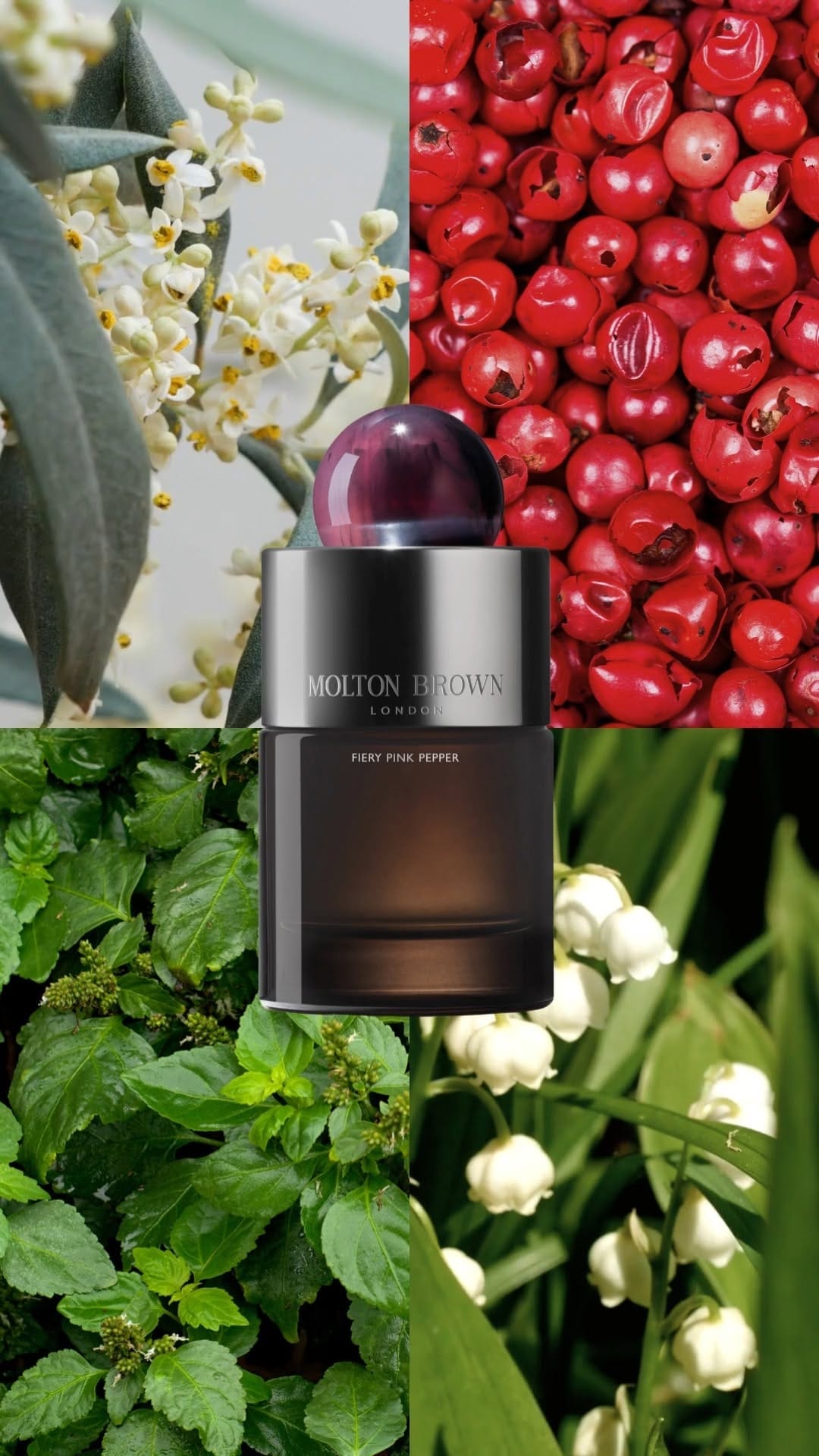 Post 1 by Molton Brown Middle East on Instagram (video)