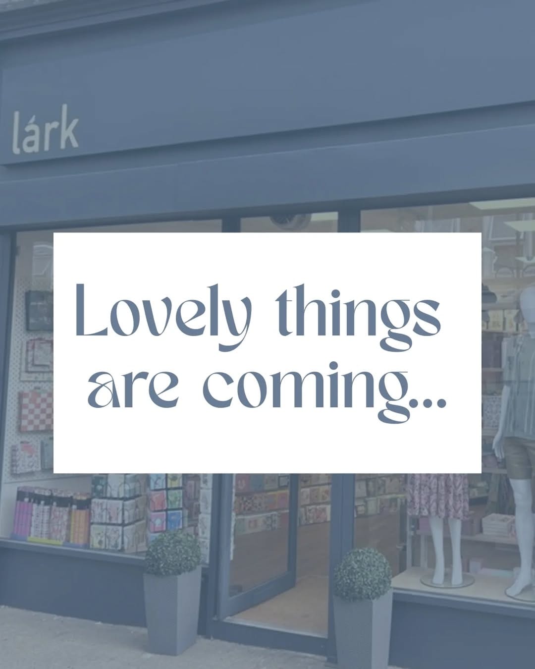 Post 9 by Lark London on Instagram (image)