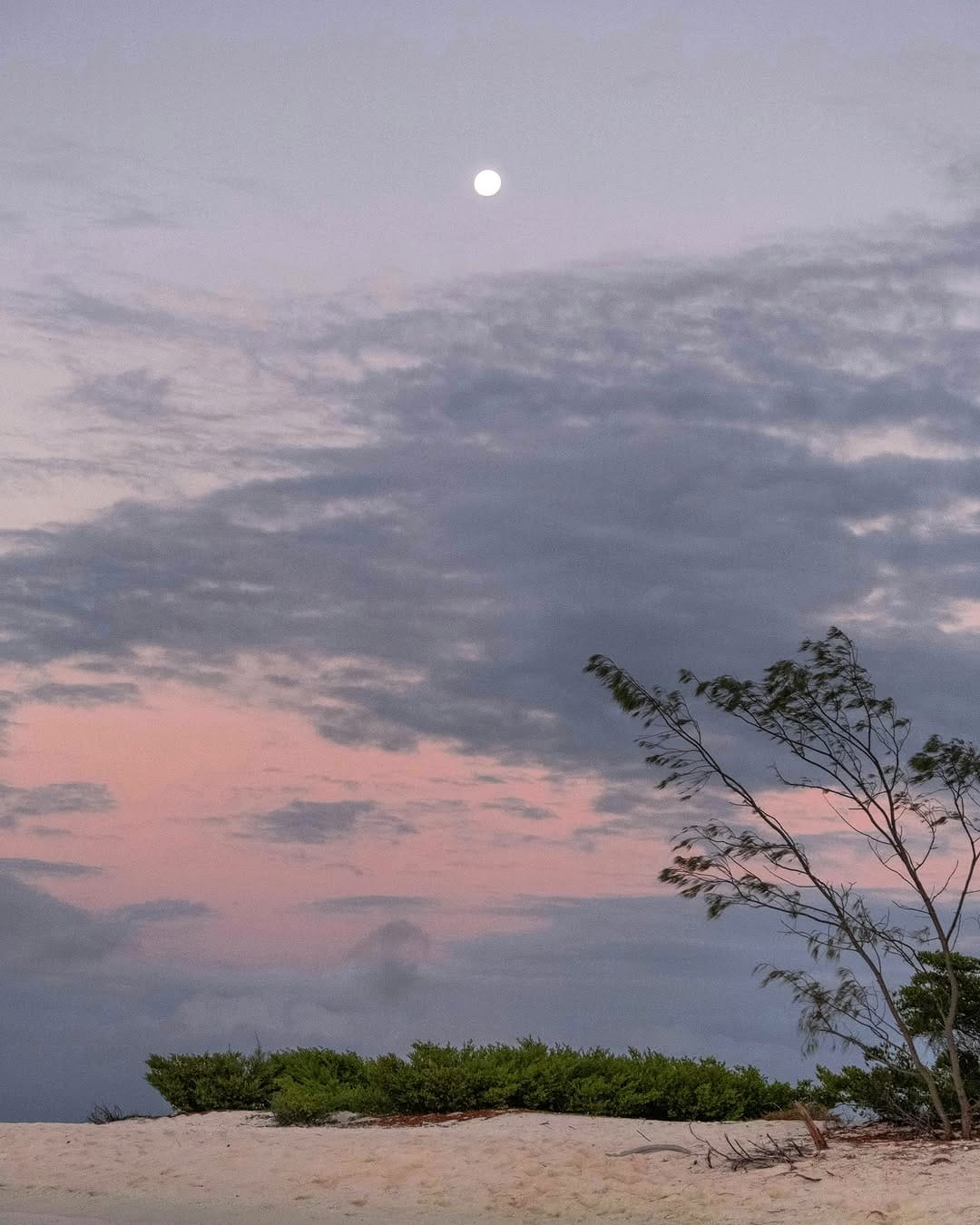 Post 3 by FULLMOON CLOTHING on Instagram (image)