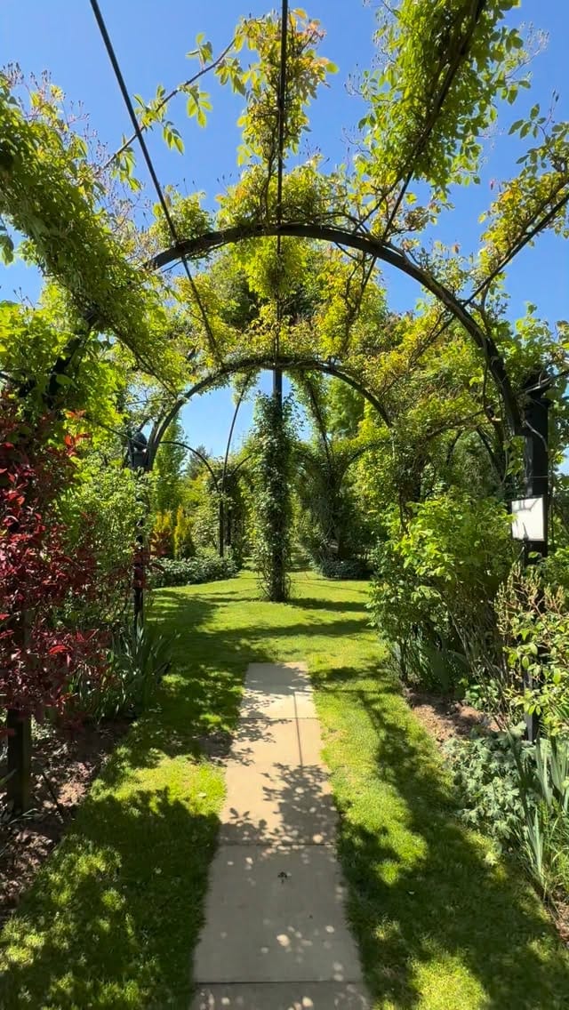 Post 5 by Peter Beales Roses on Instagram (video)