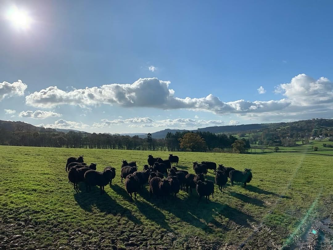 Post 8 by Flock & Herd Butchery on Instagram (carousel)