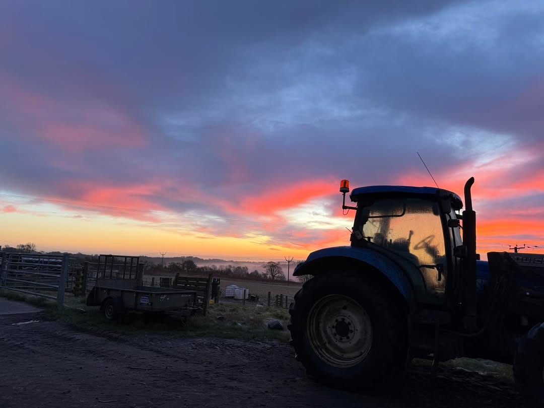 Post 9 by The Buffalo Farm on Instagram (image)
