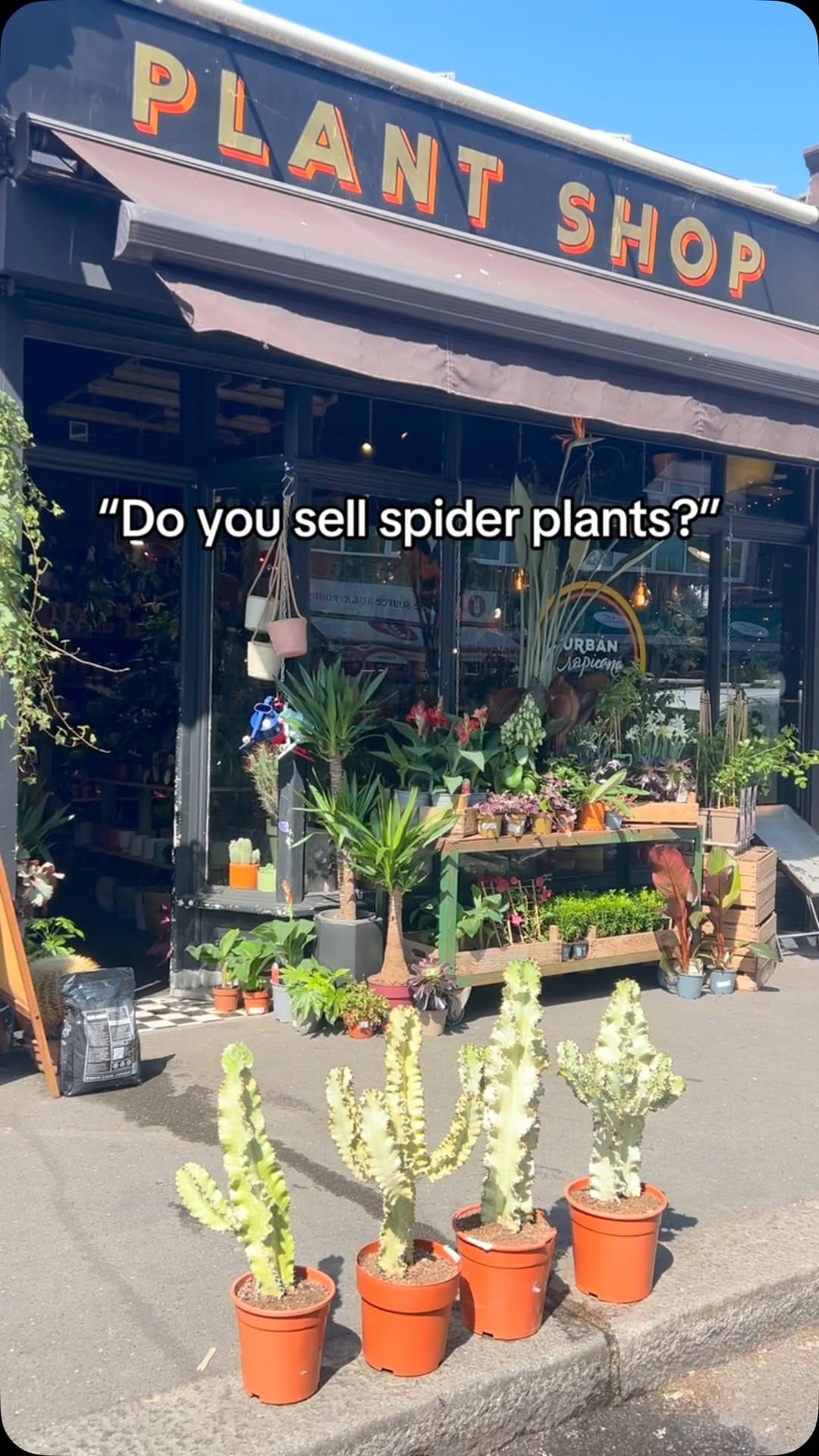 Post 8 by Plant Shop • London on Instagram (video)