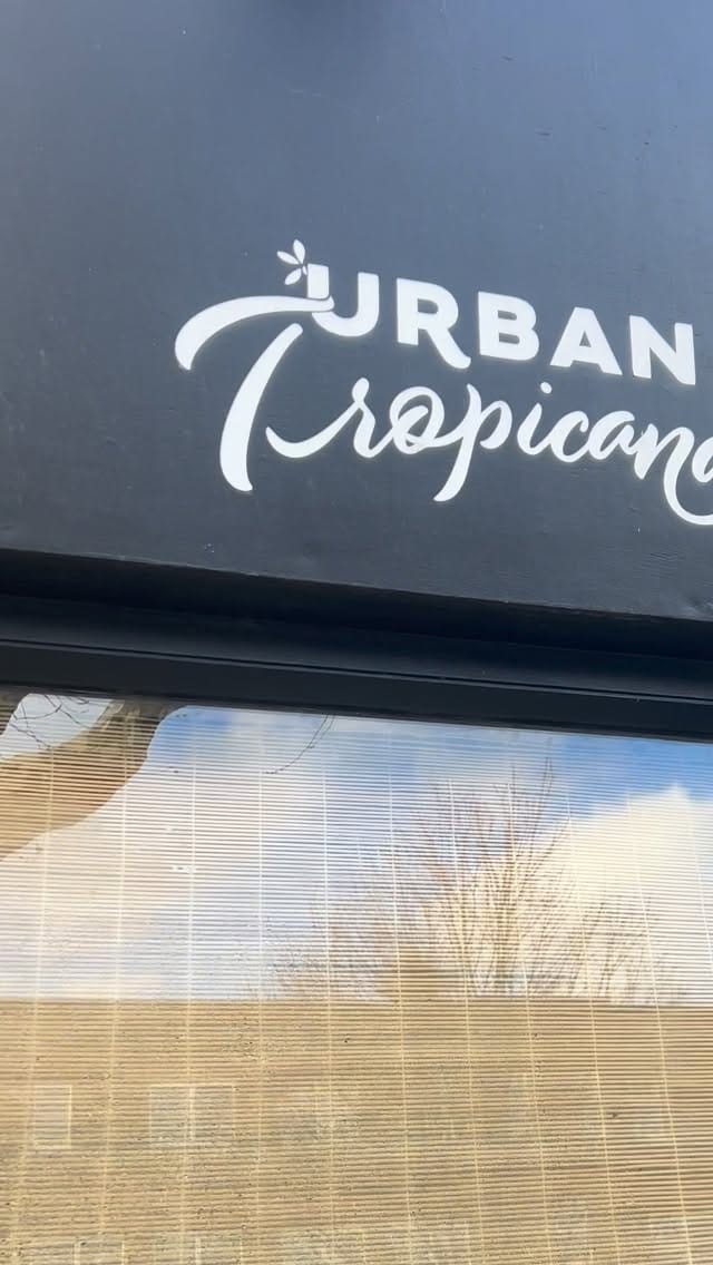 Post 2 by Plant Shop • London on Instagram (video)