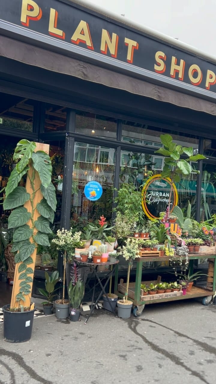 Post 9 by Plant Shop • London on Instagram (video)