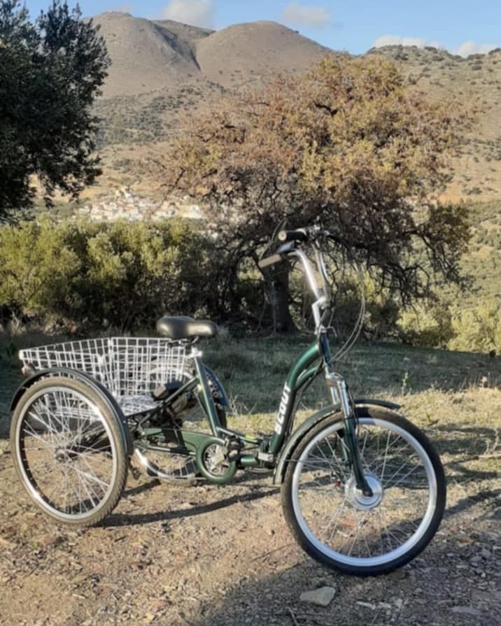 Post 6 by BuyTricycle on Instagram (carousel)