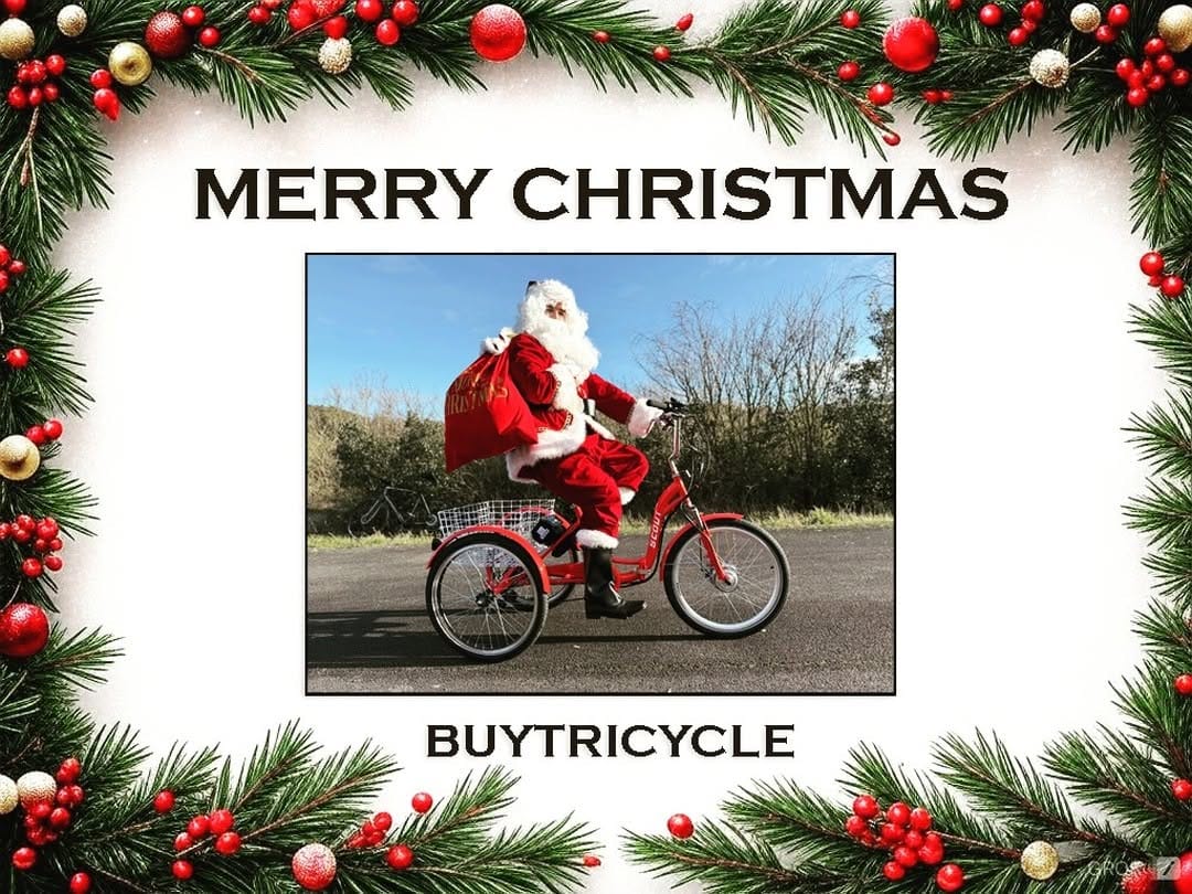Post 5 by BuyTricycle on Instagram (image)