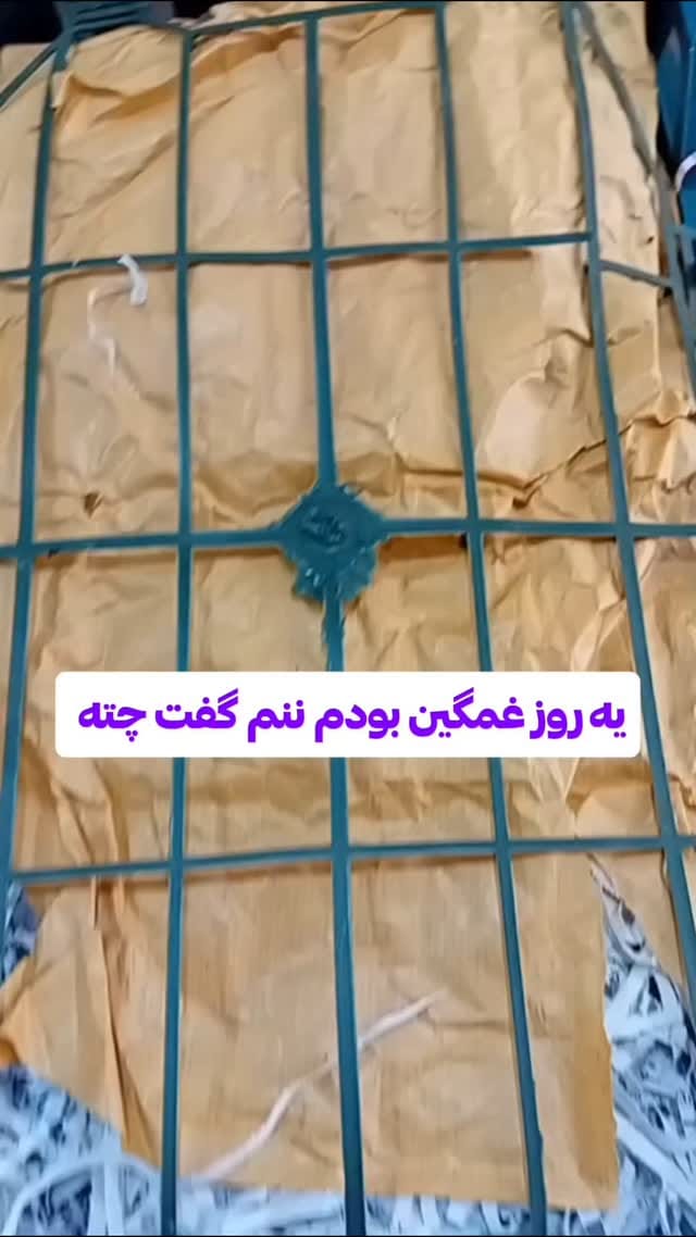 Post 10 by سوپرمارکت مواد غذایی دانا🇬🇧 ارسال به سراسر انگلستان on Instagram (video)
