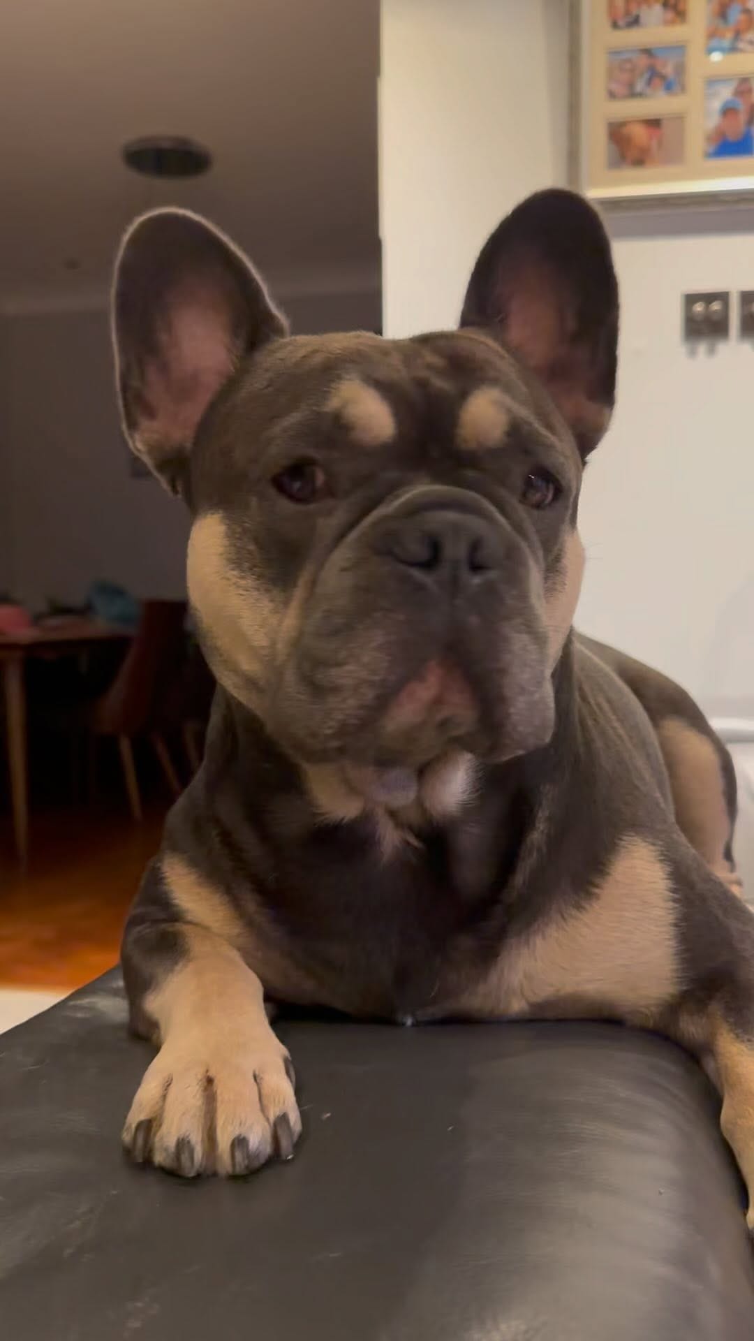 Post 8 by 💙 Duke Blue 💙 on Instagram (video)