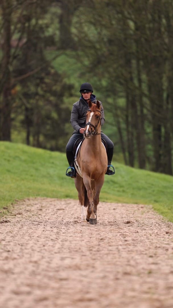 Post 9 by TRI Equestrian Curragh on Instagram (video)