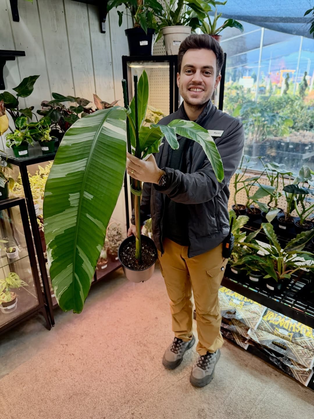 Post 4 by Kent East Hill Nursery on Instagram (image)
