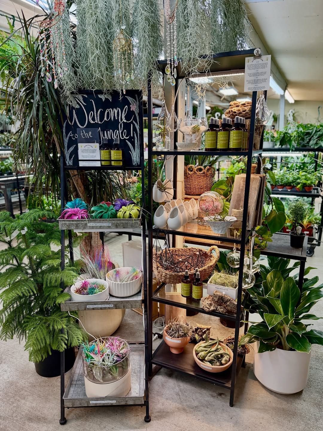 Post 2 by Kent East Hill Nursery on Instagram (carousel)