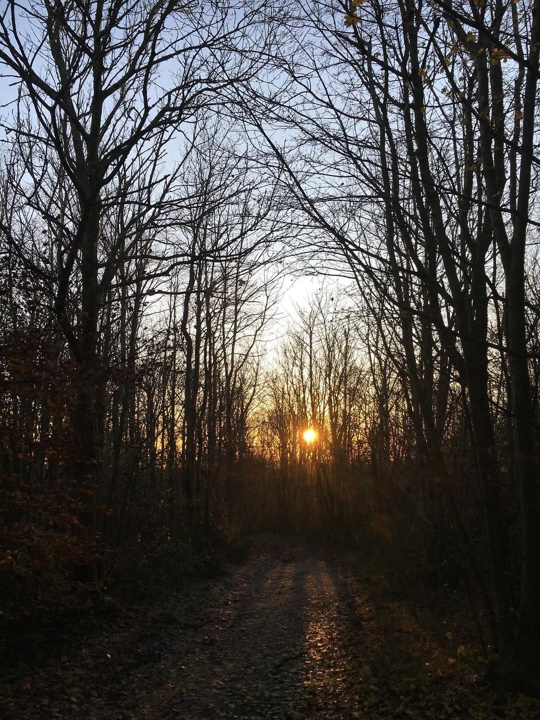 Post 4 by elliot. organics on Instagram (image)