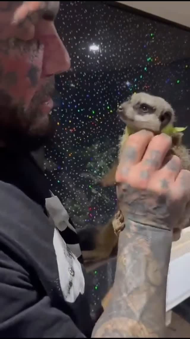 Post 5 by TATTITUDE MANCHESTER on Instagram (video)