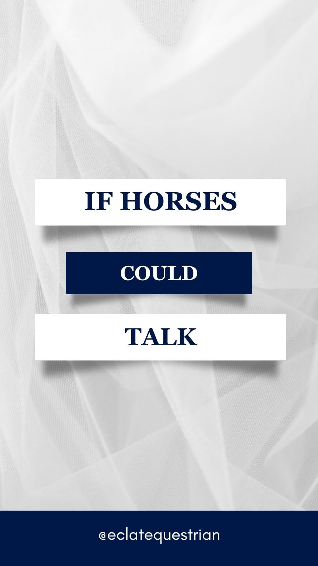 Post 2 by EclatEquestrian on Instagram (video)