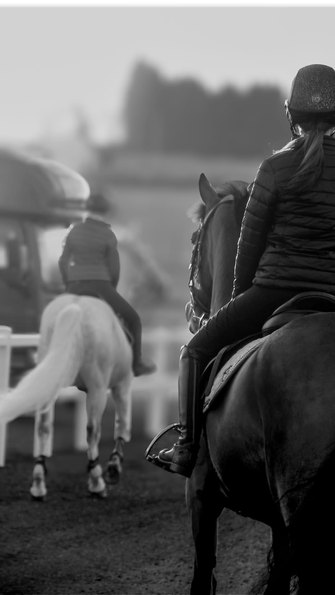 Post 3 by EclatEquestrian on Instagram (video)