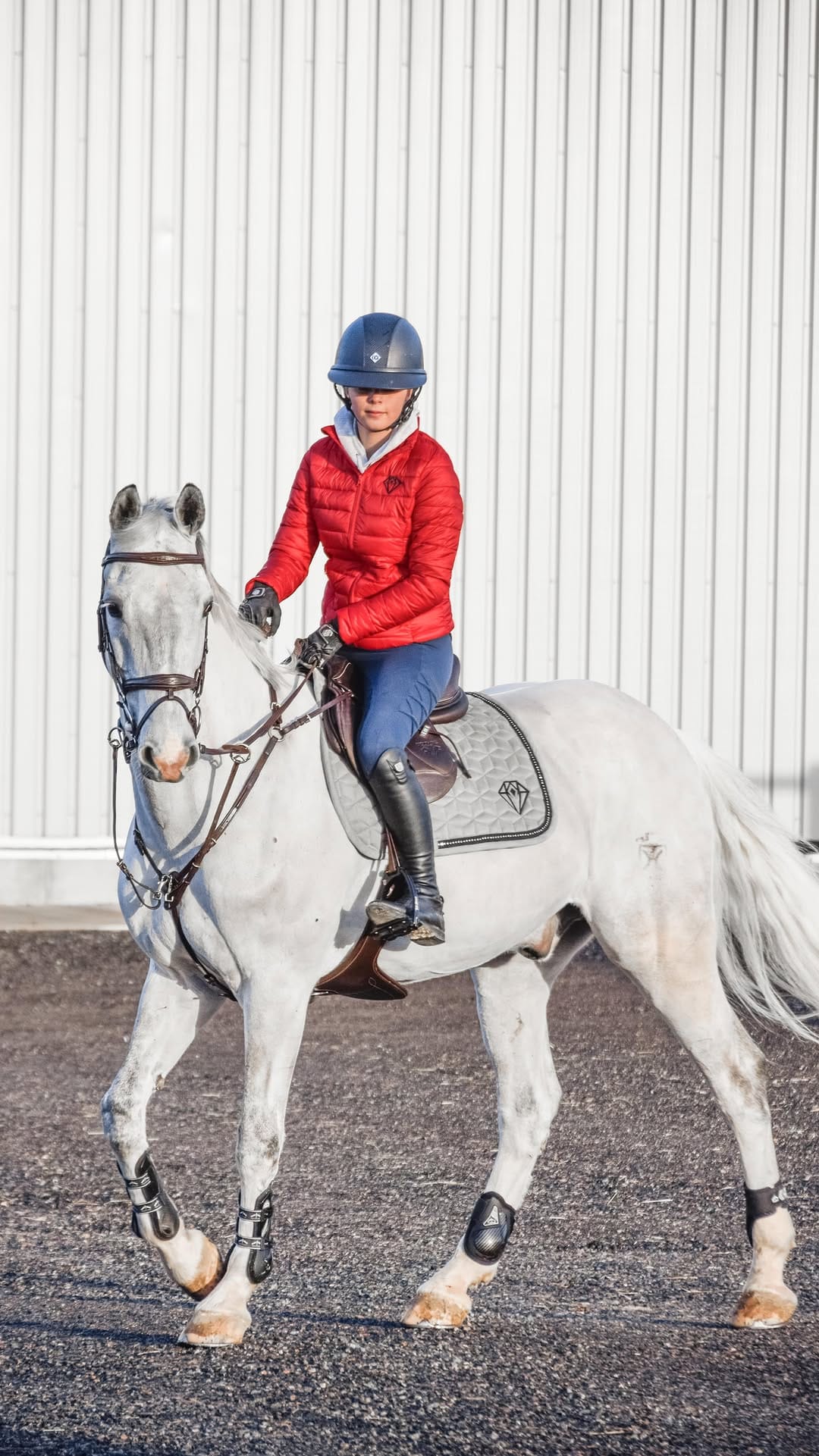 Post 10 by EclatEquestrian on Instagram (video)