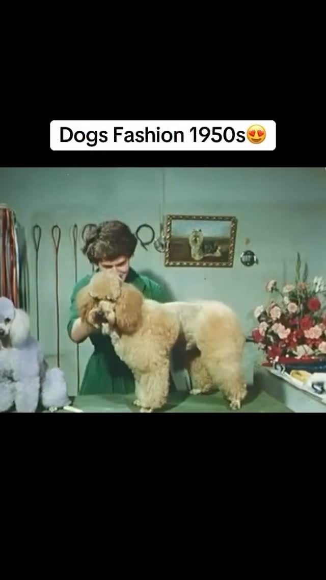 Post 10 by FAB 208 NYC on Instagram (video)