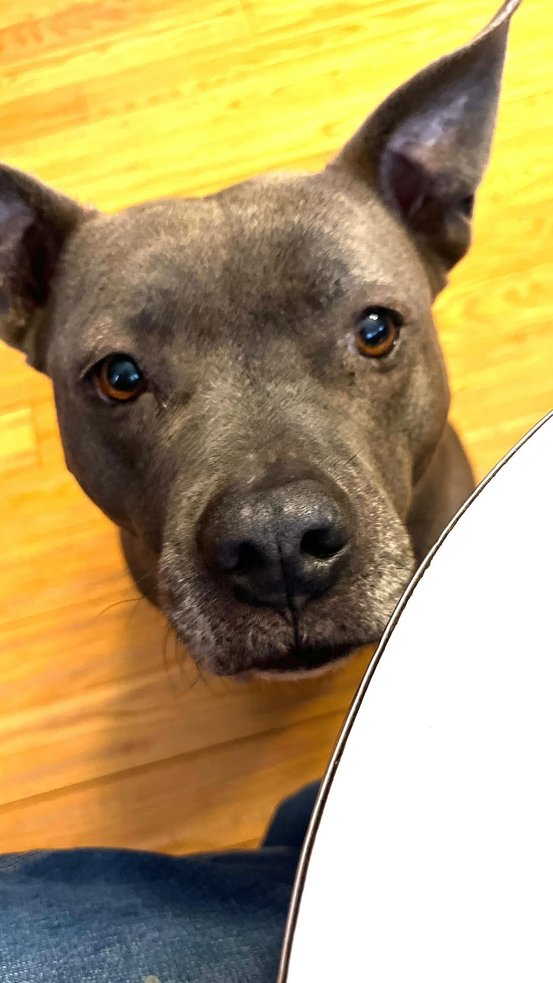 Post 4 by FAB 208 NYC on Instagram (video)