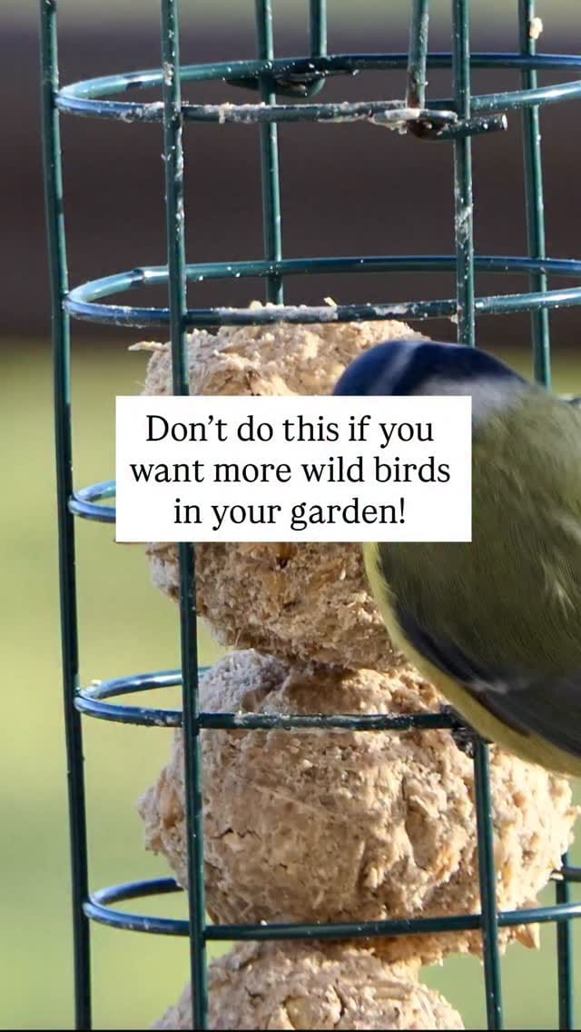 Post 5 by Notcutts Garden Centres on Instagram (video)