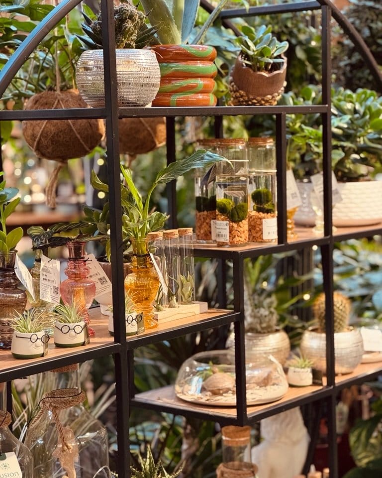 Post 6 by Notcutts Garden Centres on Instagram (image)