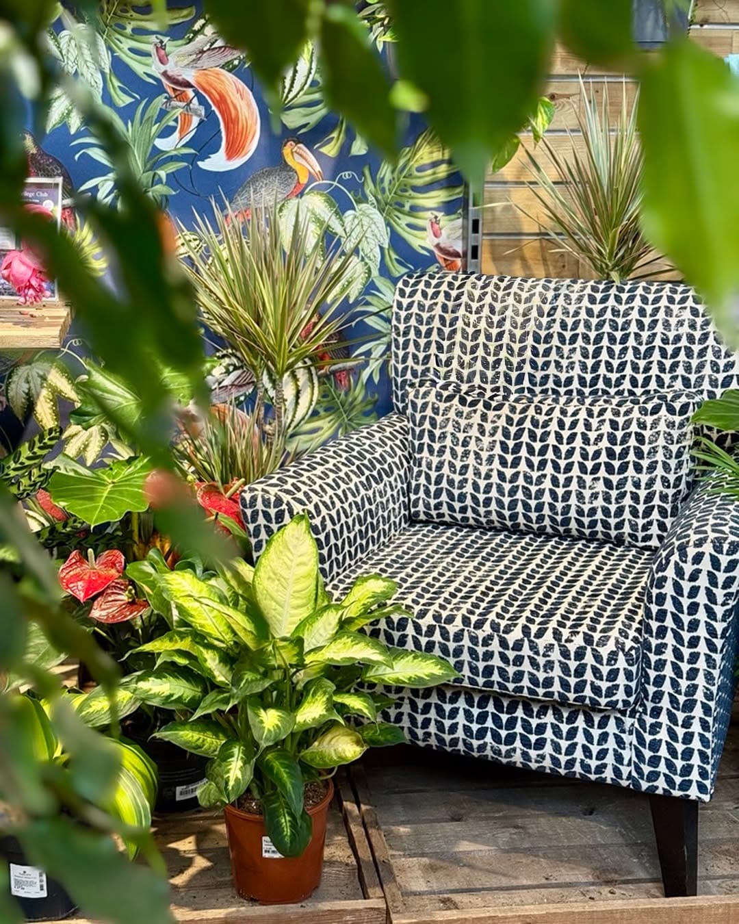 Post 3 by Notcutts Garden Centres on Instagram (image)
