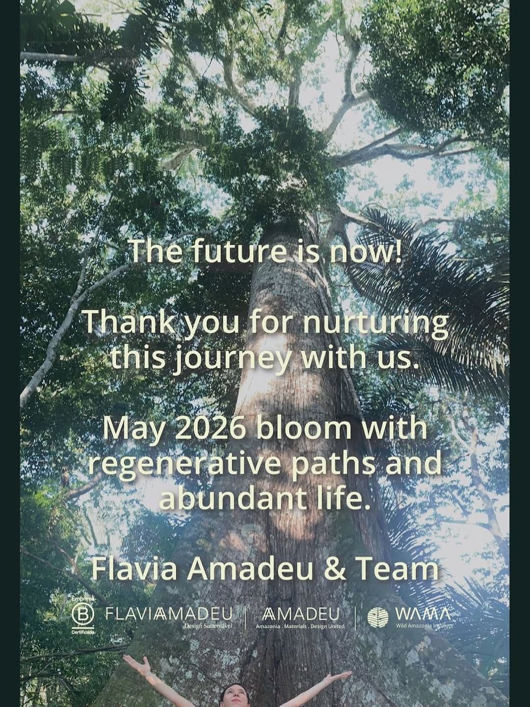 Post 2 by Flavia Amadeu on Instagram (image)