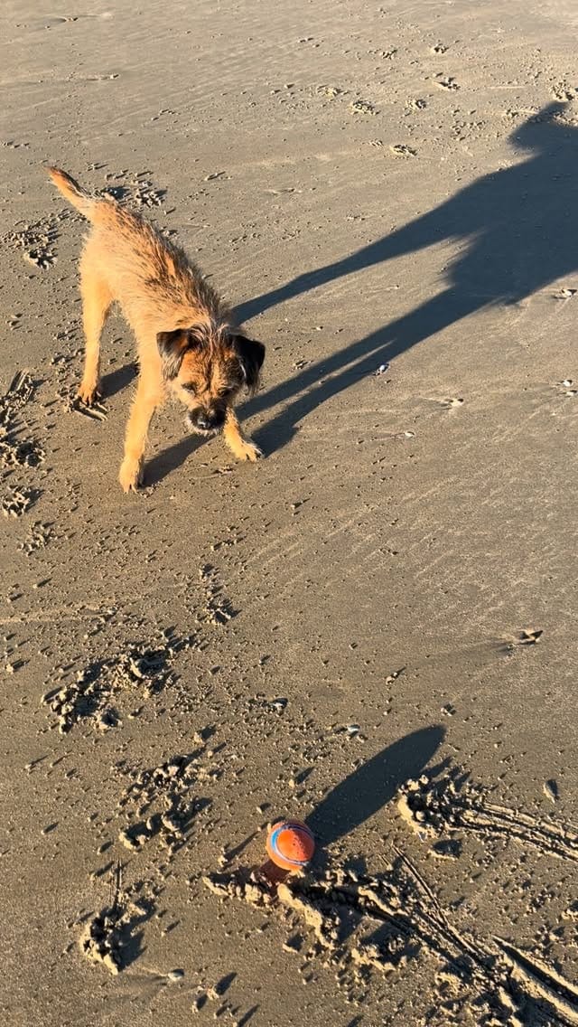 Post 10 by PUCKHABER - @martyn_fowler on Instagram (video)