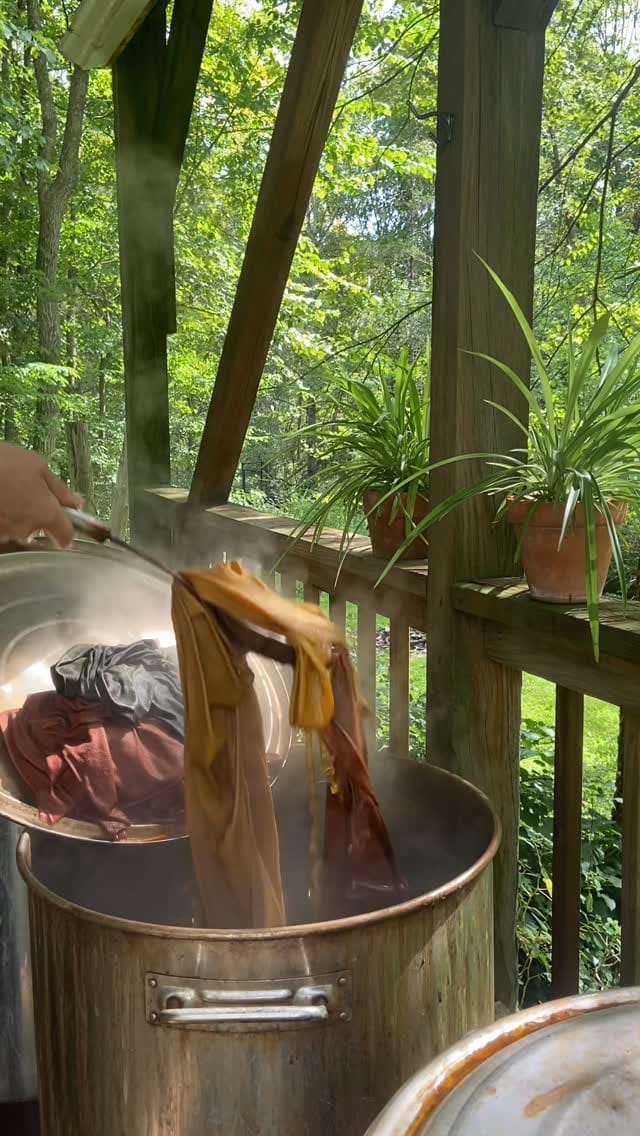 Post 7 by Wild Harvest on Instagram (video)