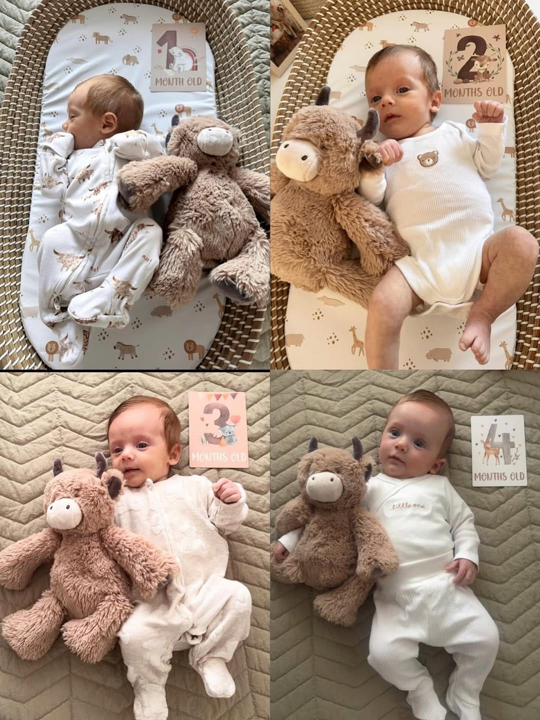 Post 1 by Stanley Home on Instagram (image)