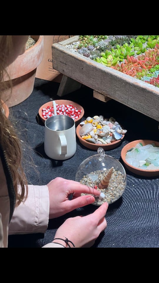 Post 6 by Surreal Succulents on Instagram (video)