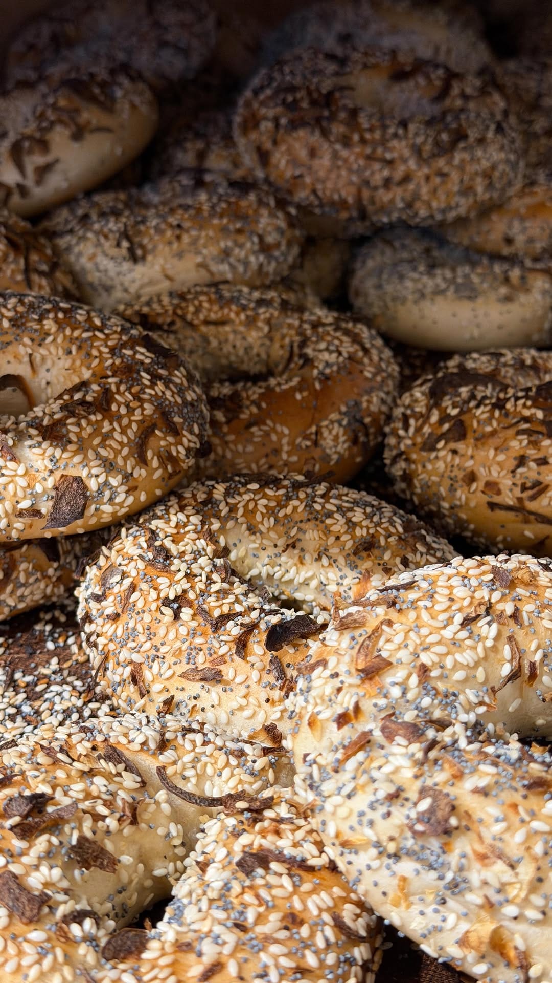 Post 2 by B Bagel on Instagram (video)