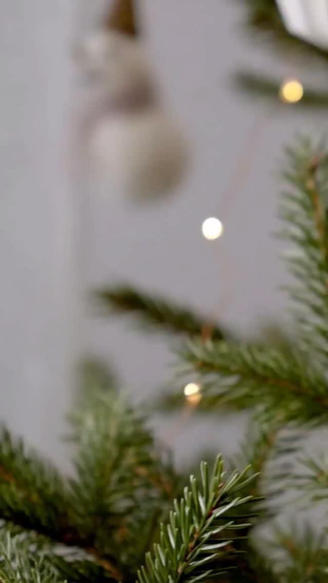 Post 9 by Duck&Dodo Market on Instagram (video)