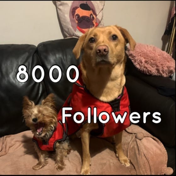 Post 5 by ♡cleo & princess♡ on Instagram (image)