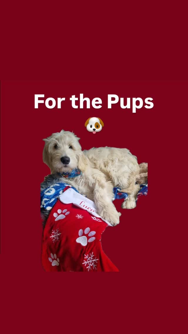 Post 10 by The Ornament Shop on Instagram (video)