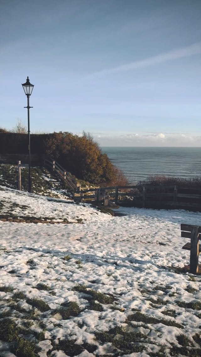 Post 6 by BERTIES OF BAY on Instagram (video)