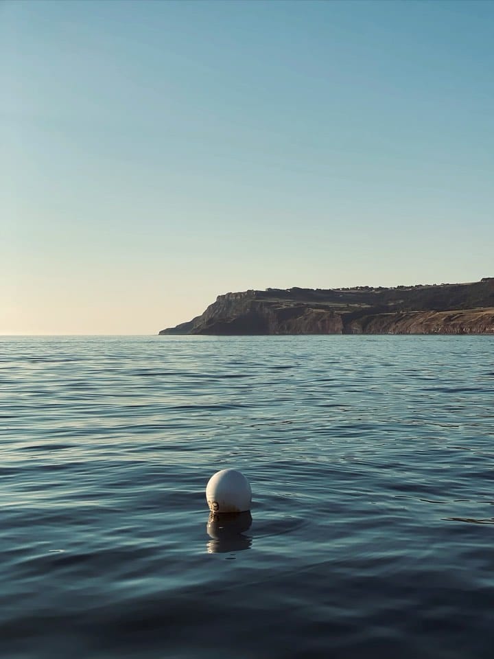 Post 9 by BERTIES OF BAY on Instagram (video)
